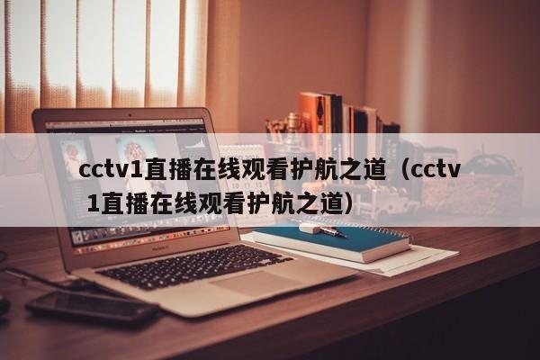 cctv1直播在线观看护航之道（cctv 1直播在线观看护航之道）