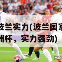 欧洲杯波兰实力(波兰国家队积极备战欧洲杯，实力强劲)