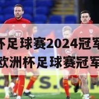 欧洲杯足球赛2024冠军(2024年欧洲杯足球赛冠军揭晓)